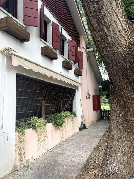 Raffinatezza Rustica Nella Campagna Veneziana Διαμέρισμα Canton  Εξωτερικό φωτογραφία